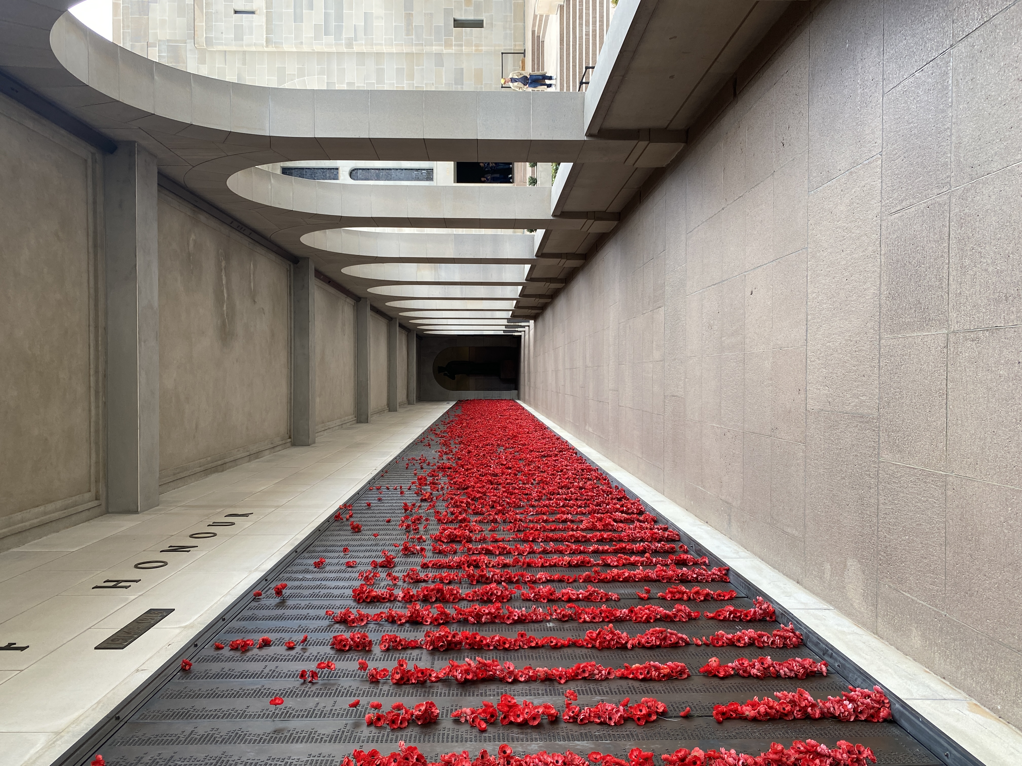 Memorial wall covered in poppies