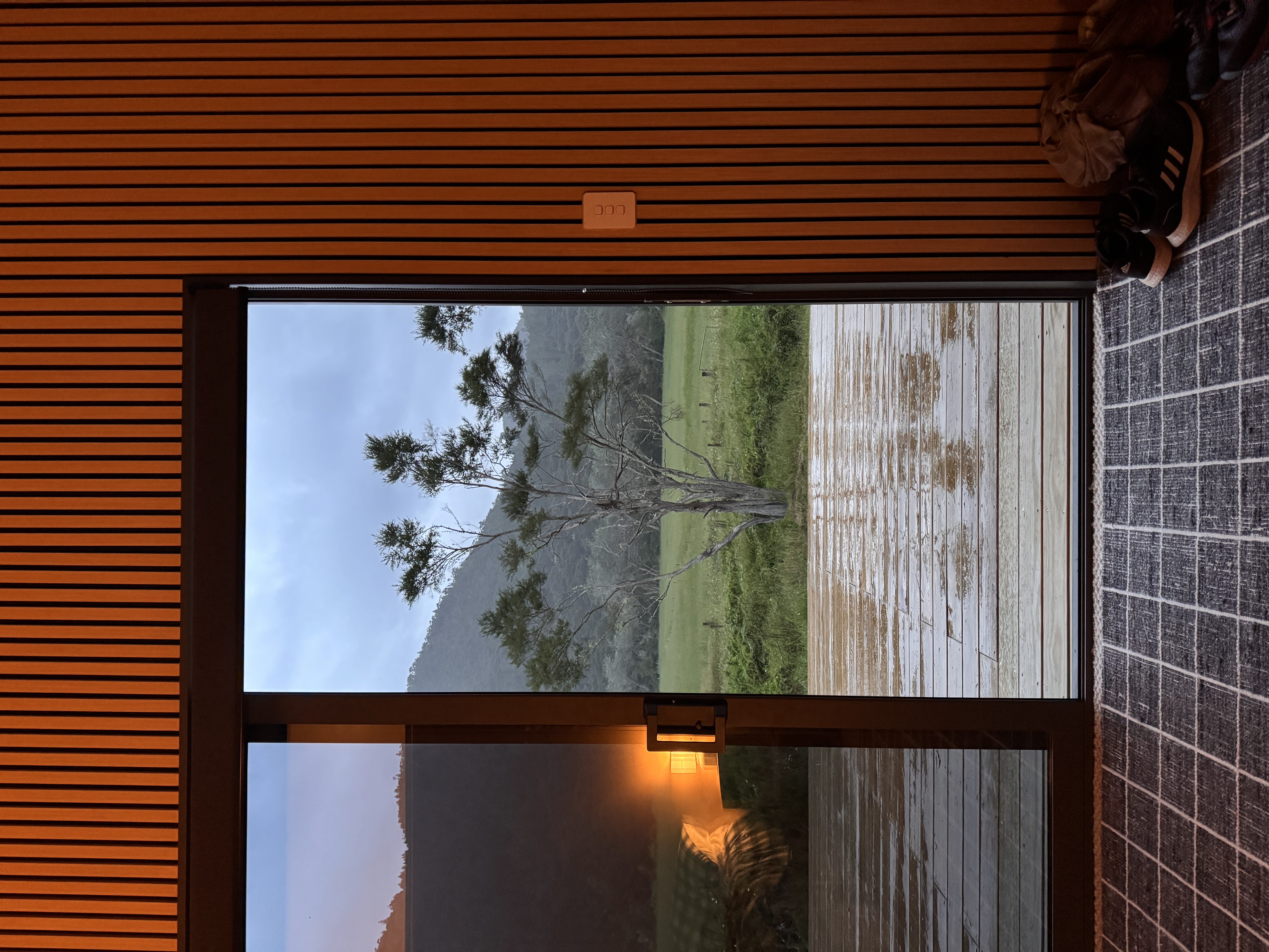 A solitary tree standing in the rain, viewed through an open door