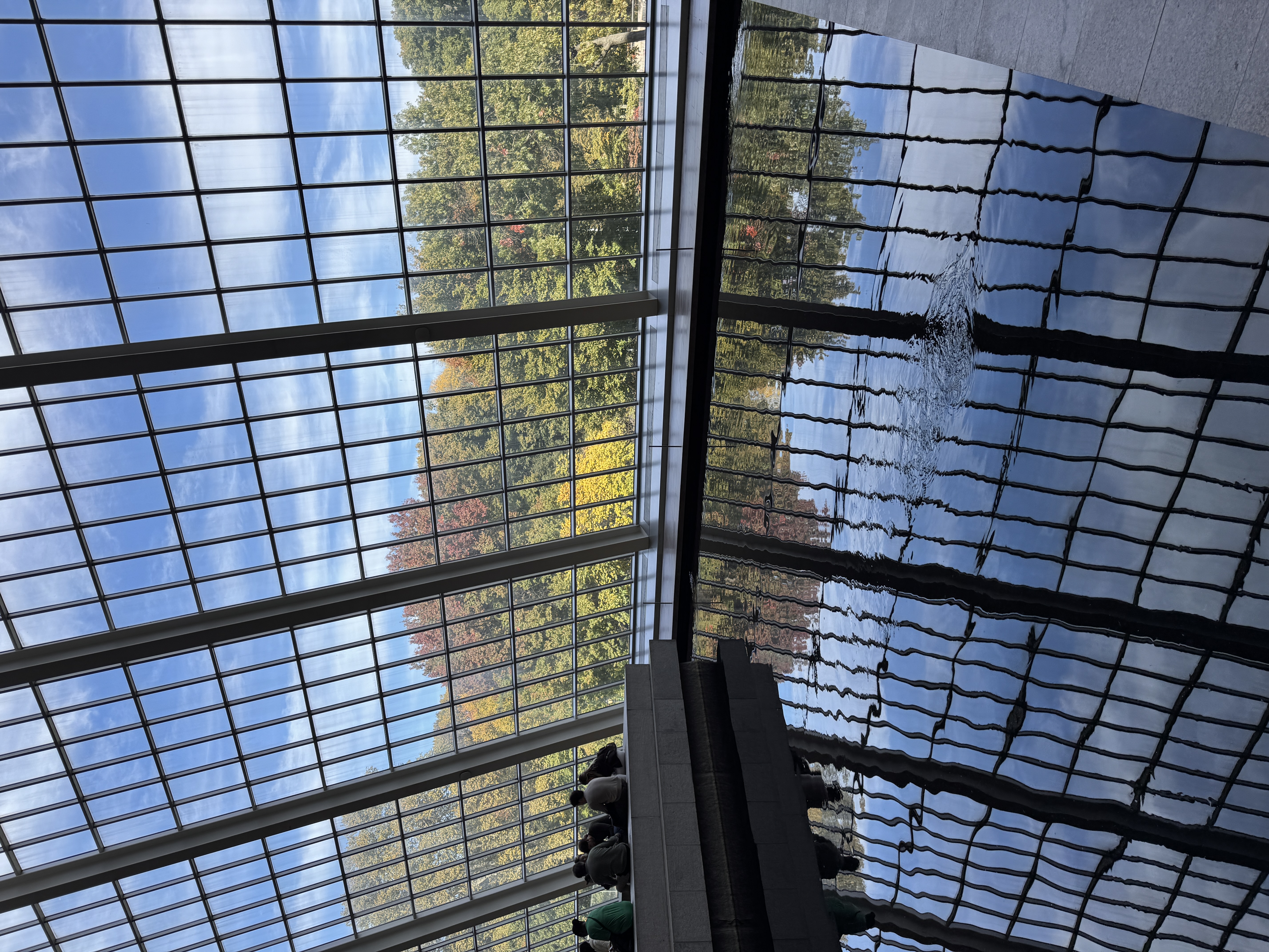 Tall gridded windows reflected in an indoor pool