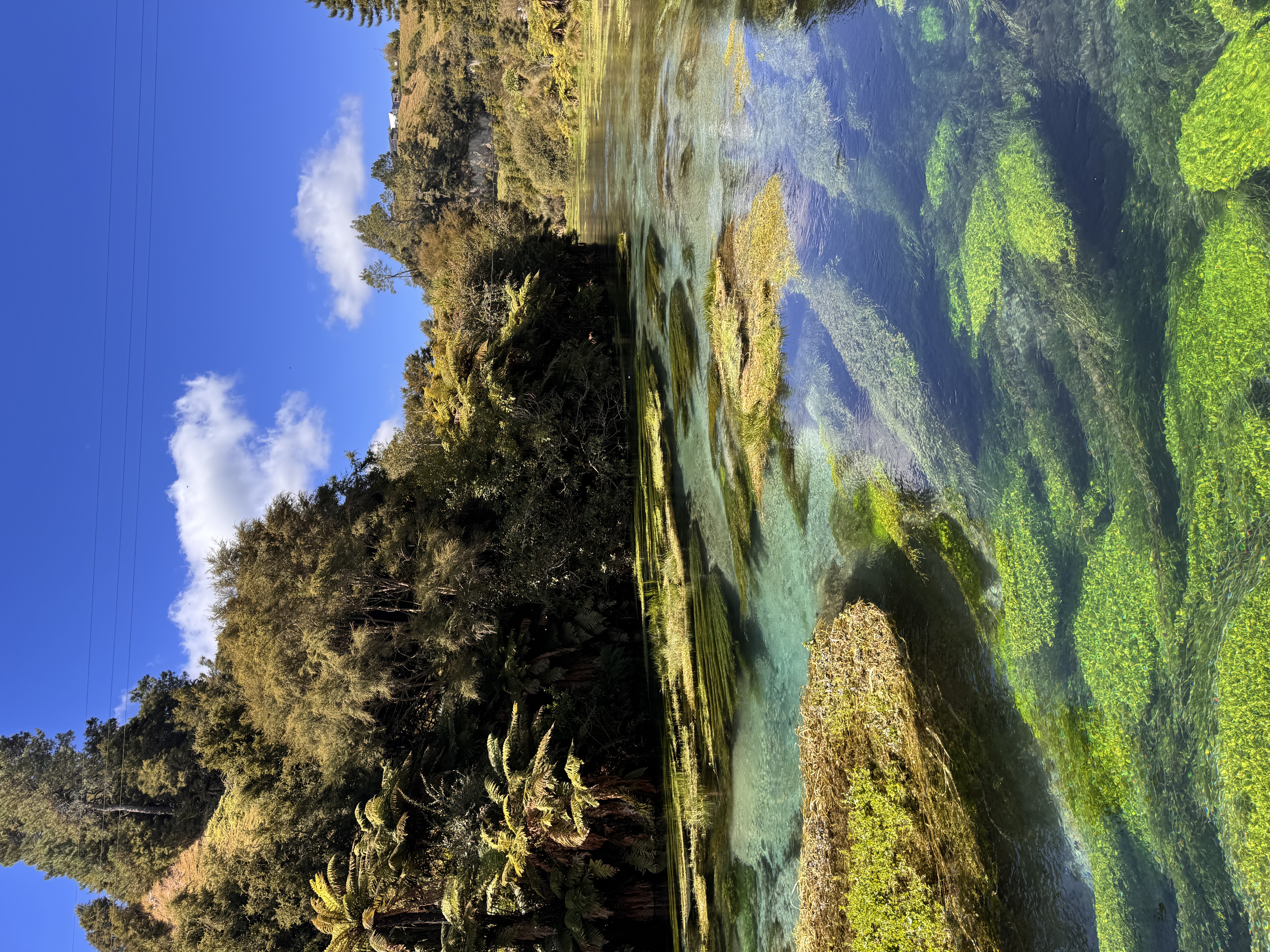 Clear blue water running over vibrant green plants