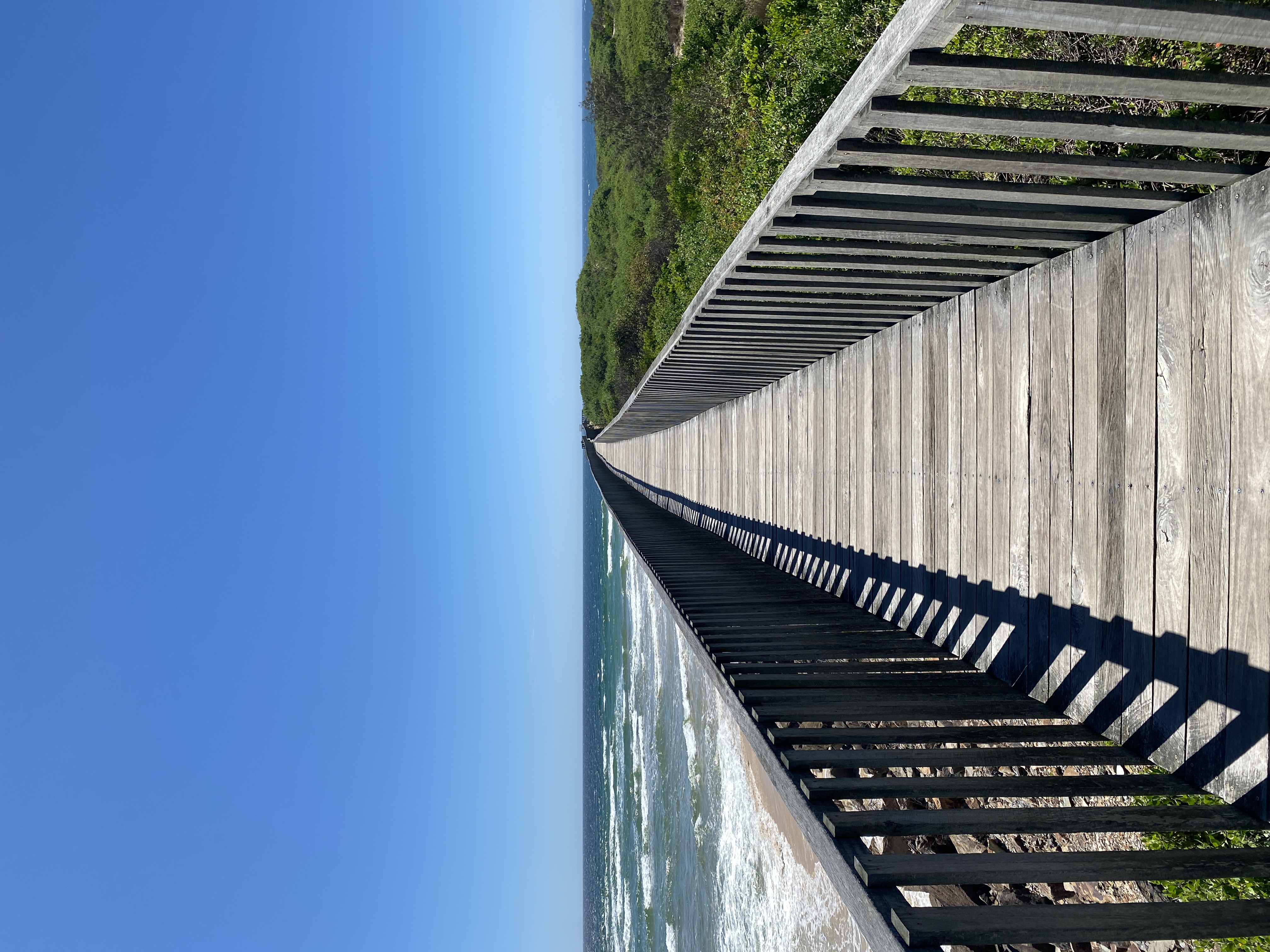 Wooden boardwalk stretching into the distance with sea on the left and bushes on the right