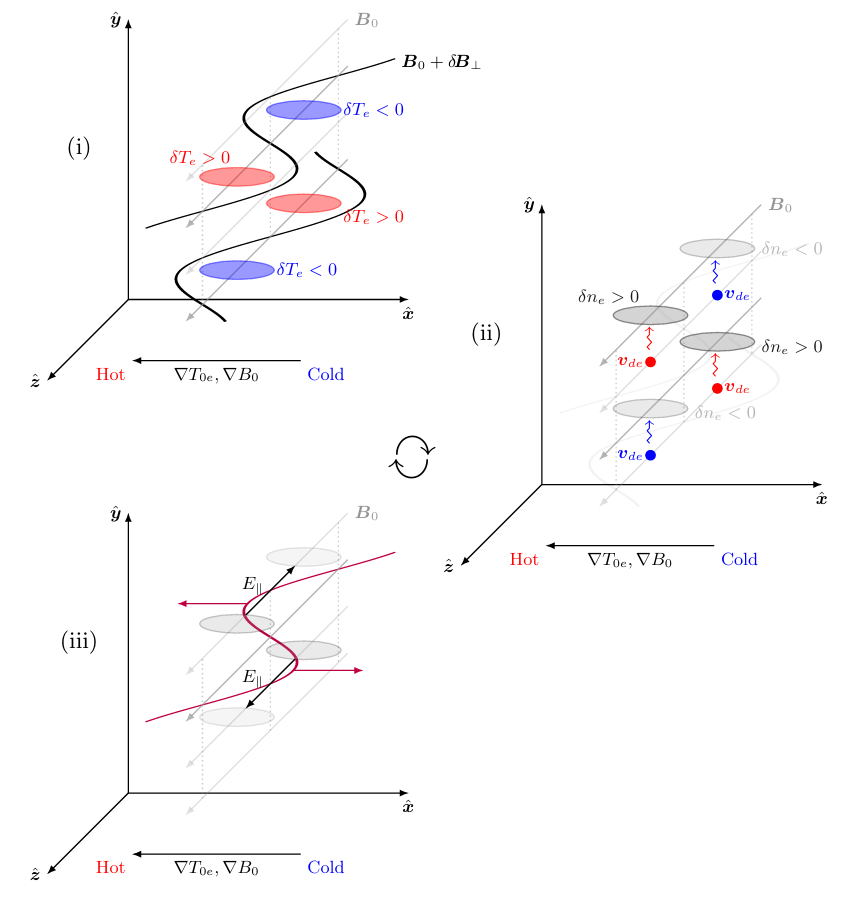 Feedback mechanism for the thermo-Alfvénic instability